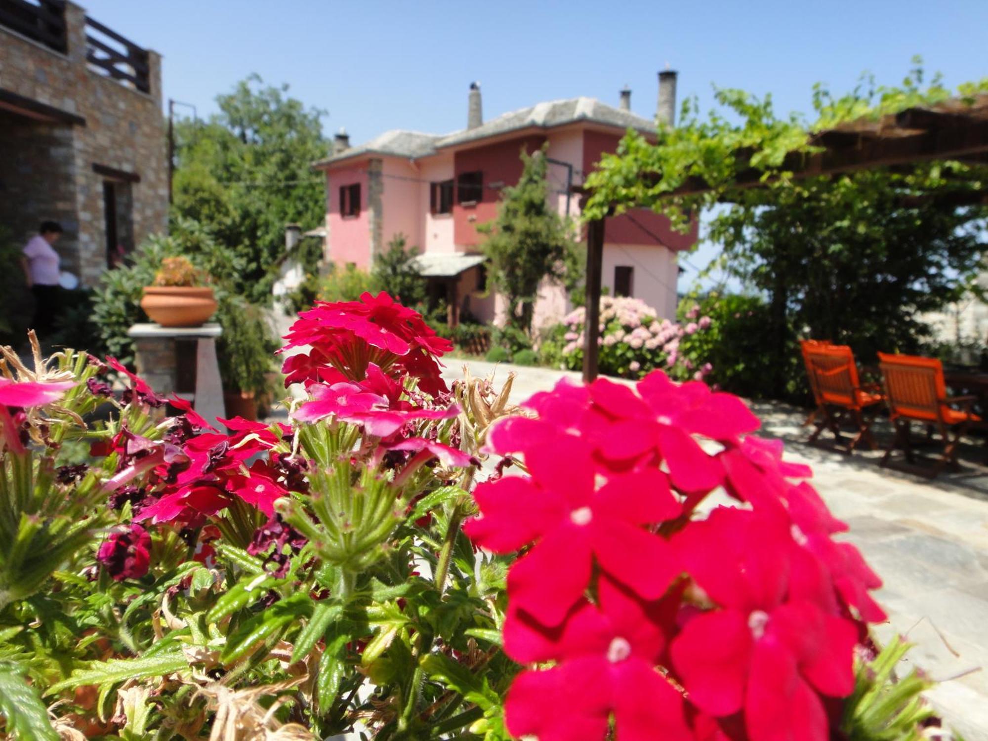 Guesthouse Iris Tsagarada Exterior photo