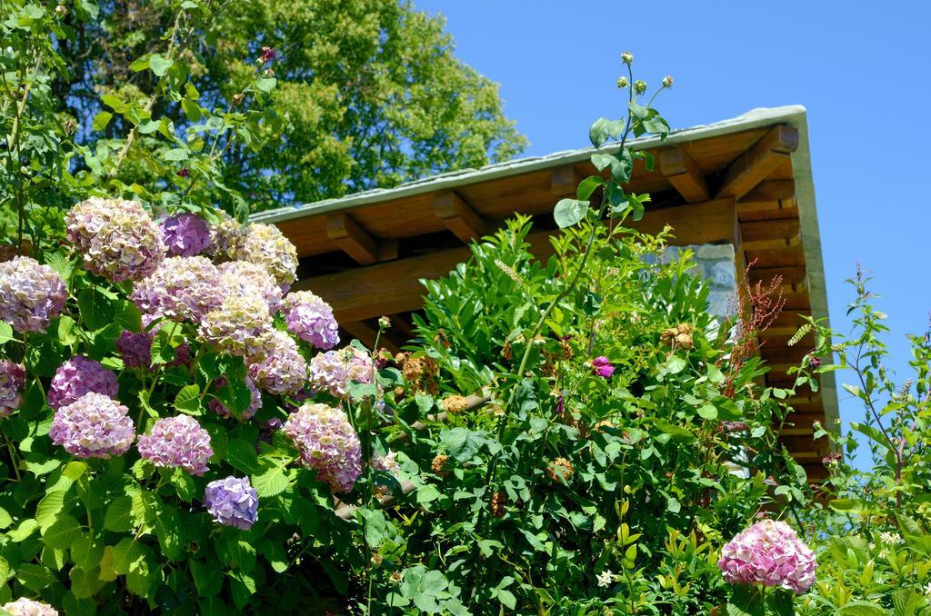 Guesthouse Iris Tsagarada Exterior photo