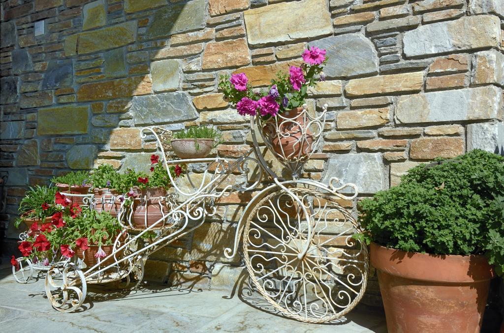 Guesthouse Iris Tsagarada Exterior photo