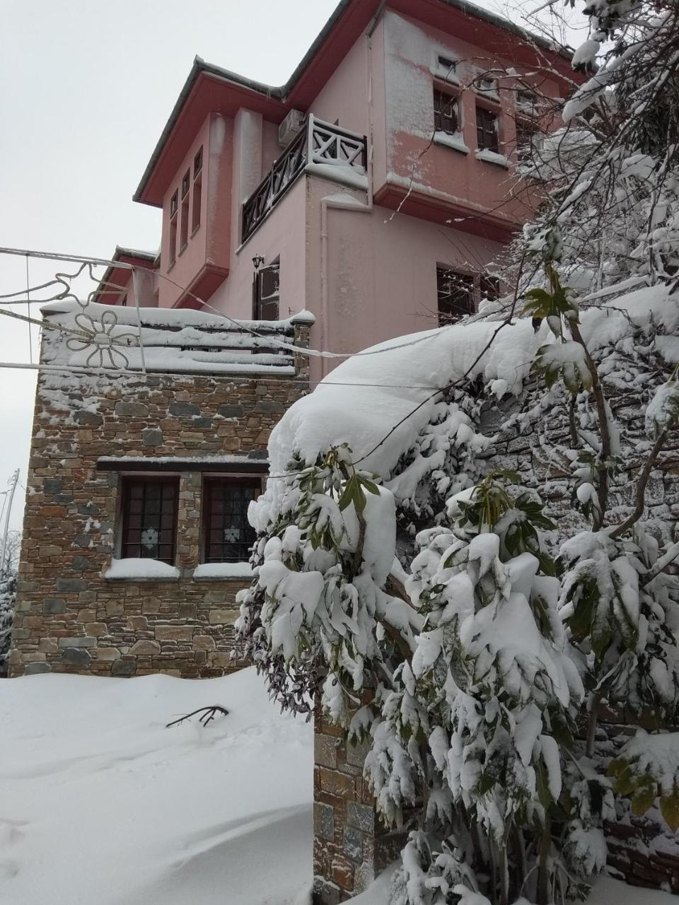 Guesthouse Iris Tsagarada Exterior photo